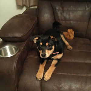 Meet your Posher, Danielle